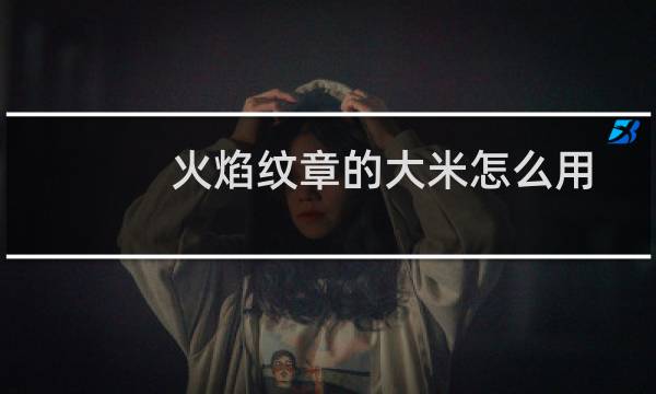 火焰纹章的大米怎么用