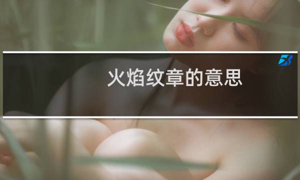 火焰纹章的意思
