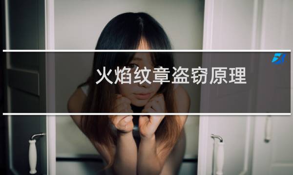 火焰纹章盗窃原理