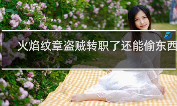 火焰纹章盗贼转职了还能偷东西吗