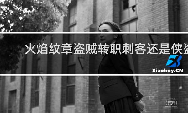 火焰纹章盗贼转职刺客还是侠盗