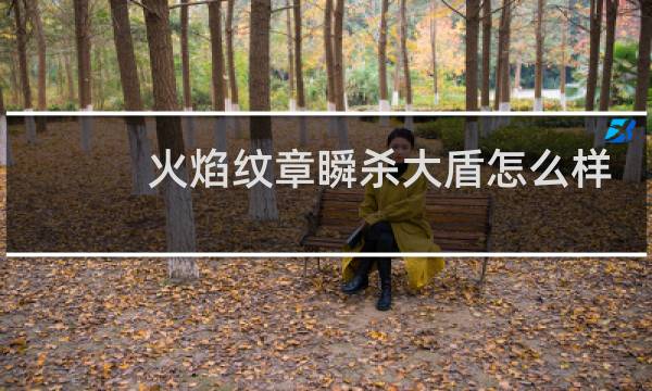 火焰纹章瞬杀大盾怎么样