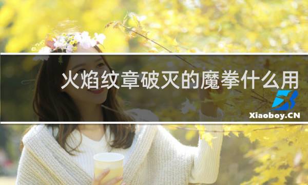 火焰纹章破灭的魔拳什么用
