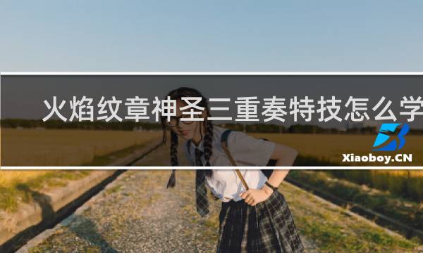 火焰纹章神圣三重奏特技怎么学的