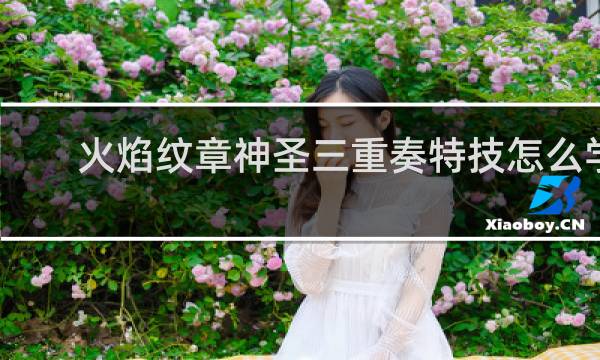 火焰纹章神圣三重奏特技怎么学