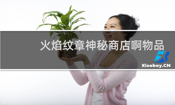 火焰纹章神秘商店啊物品