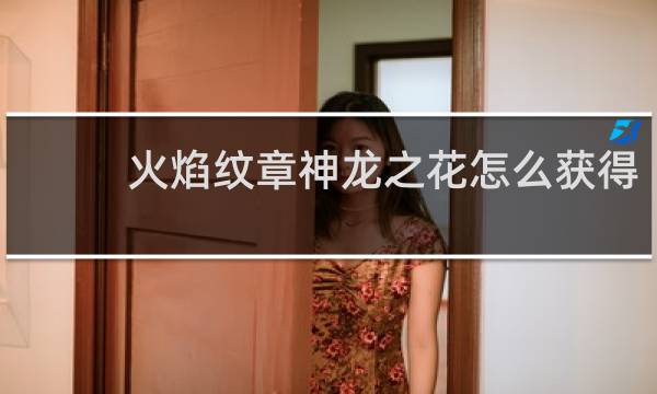 火焰纹章神龙之花怎么获得