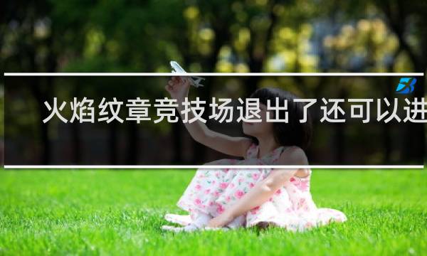 火焰纹章竞技场退出了还可以进吗