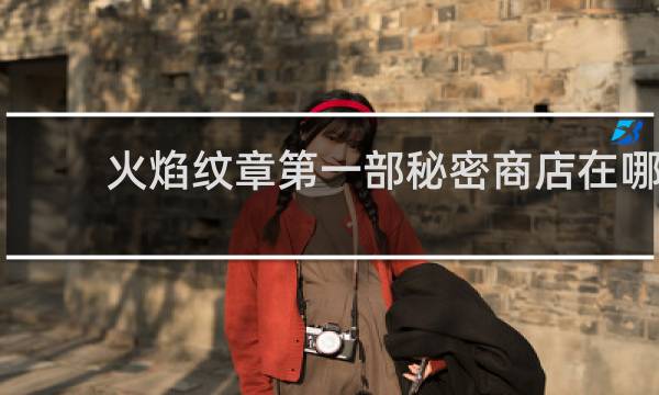 火焰纹章第一部秘密商店在哪