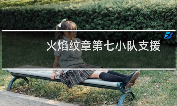 火焰纹章第七小队支援