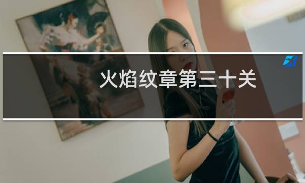 火焰纹章第三十关