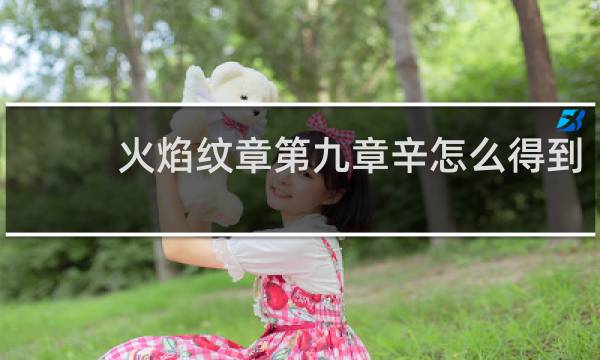 火焰纹章第九章辛怎么得到