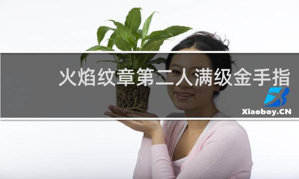 火焰纹章第二人满级金手指