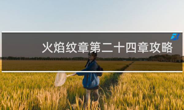 火焰纹章第二十四章攻略