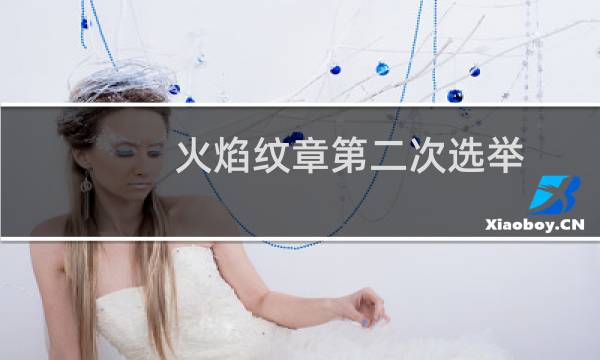 火焰纹章第二次选举