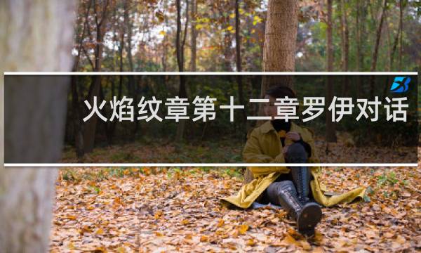 火焰纹章第十二章罗伊对话
