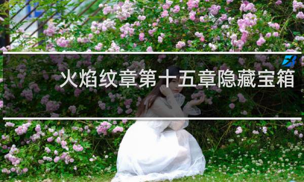 火焰纹章第十五章隐藏宝箱