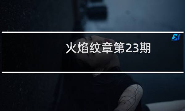 火焰纹章第23期