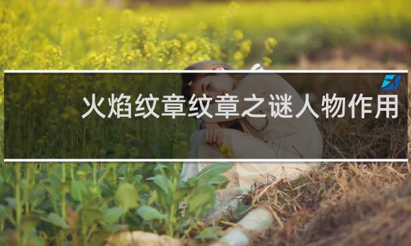 火焰纹章纹章之谜人物作用