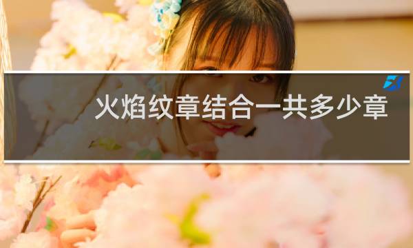 火焰纹章结合一共多少章