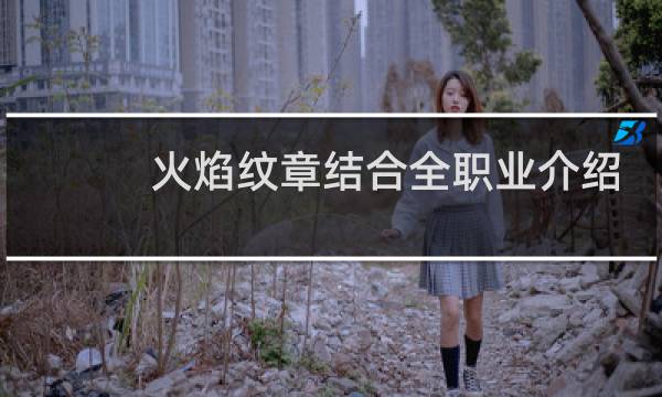 火焰纹章结合全职业介绍