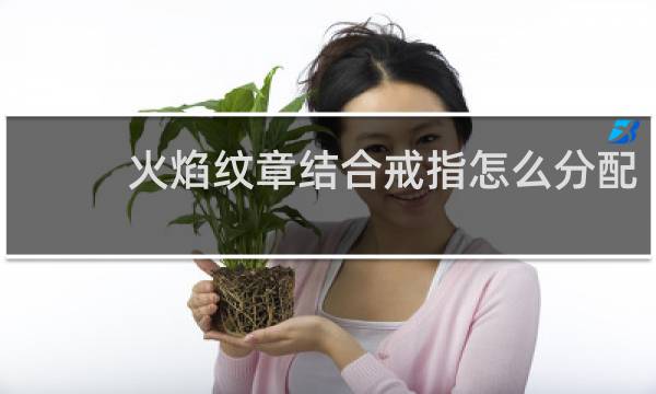 火焰纹章结合戒指怎么分配