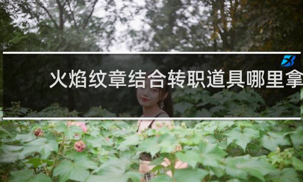 火焰纹章结合转职道具哪里拿