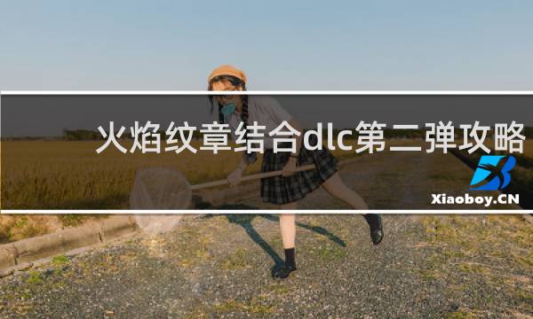 火焰纹章结合dlc第二弹攻略