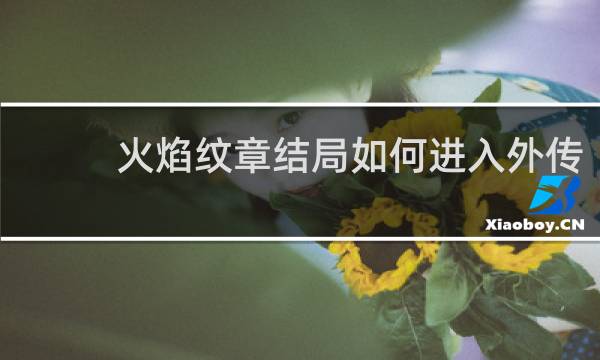 火焰纹章结局如何进入外传