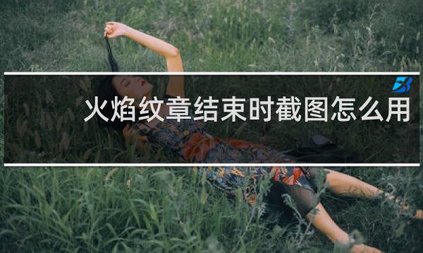 火焰纹章结束时截图怎么用