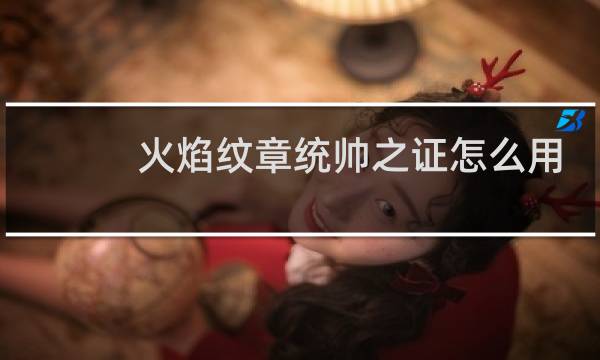 火焰纹章统帅之证怎么用