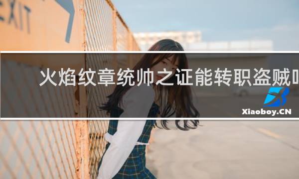 火焰纹章统帅之证能转职盗贼吗