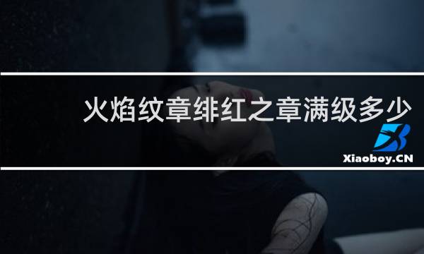 火焰纹章绯红之章满级多少