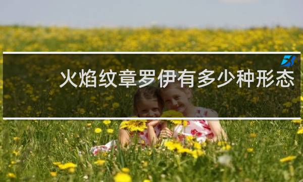 火焰纹章罗伊有多少种形态