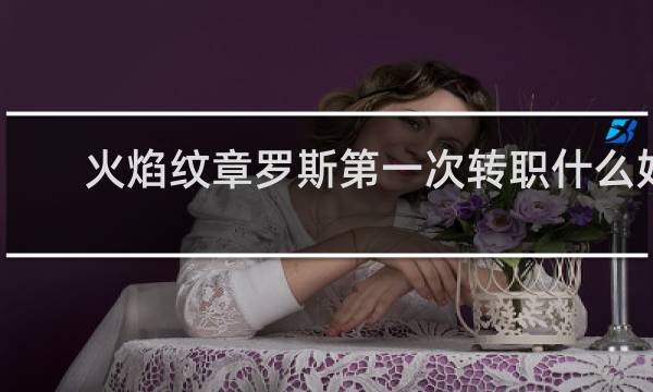 火焰纹章罗斯第一次转职什么好