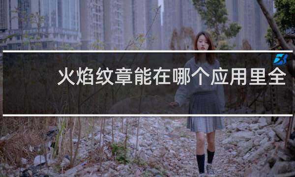 火焰纹章能在哪个应用里全