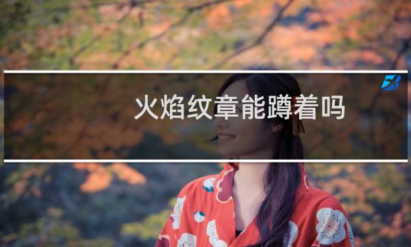 火焰纹章能蹲着吗