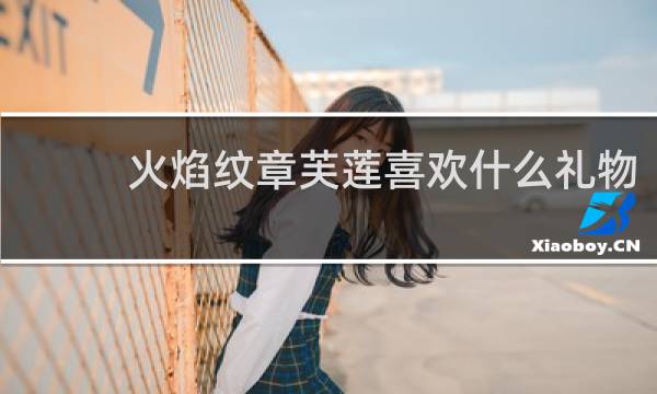 火焰纹章芙莲喜欢什么礼物