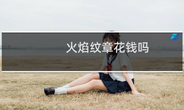 火焰纹章花钱吗