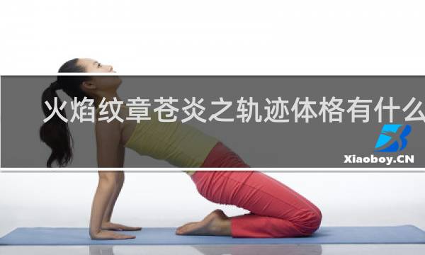火焰纹章苍炎之轨迹体格有什么用