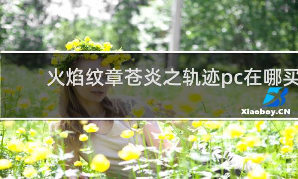 火焰纹章苍炎之轨迹pc在哪买