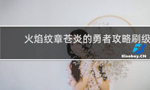 火焰纹章苍炎的勇者攻略刷级