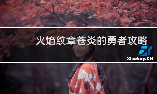 火焰纹章苍炎的勇者攻略