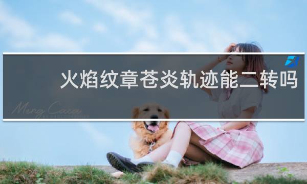 火焰纹章苍炎轨迹能二转吗