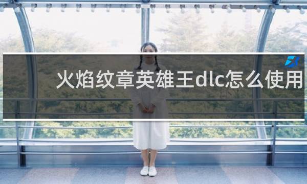 火焰纹章英雄王dlc怎么使用