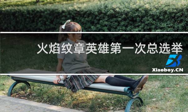 火焰纹章英雄第一次总选举