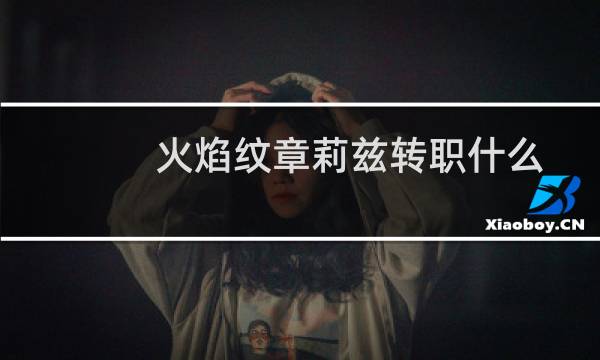 火焰纹章莉兹转职什么
