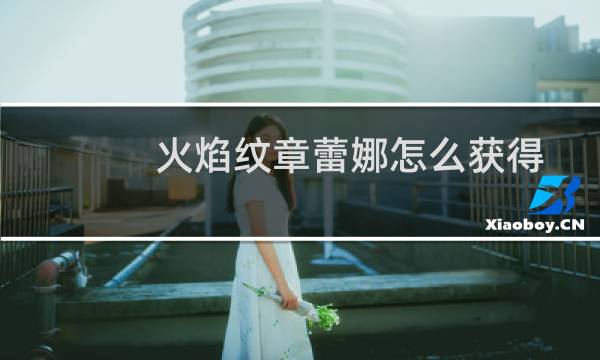 火焰纹章蕾娜怎么获得