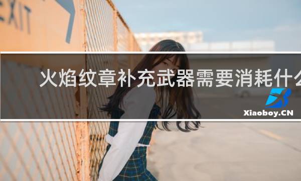 火焰纹章补充武器需要消耗什么
