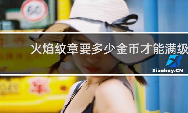 火焰纹章要多少金币才能满级